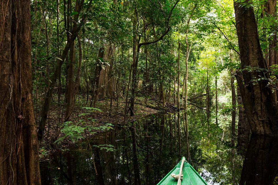 Amazonia Parksuites Novo Airão Exteriér fotografie